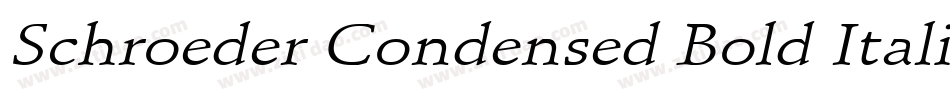 Schroeder Condensed Bold Italic字体转换